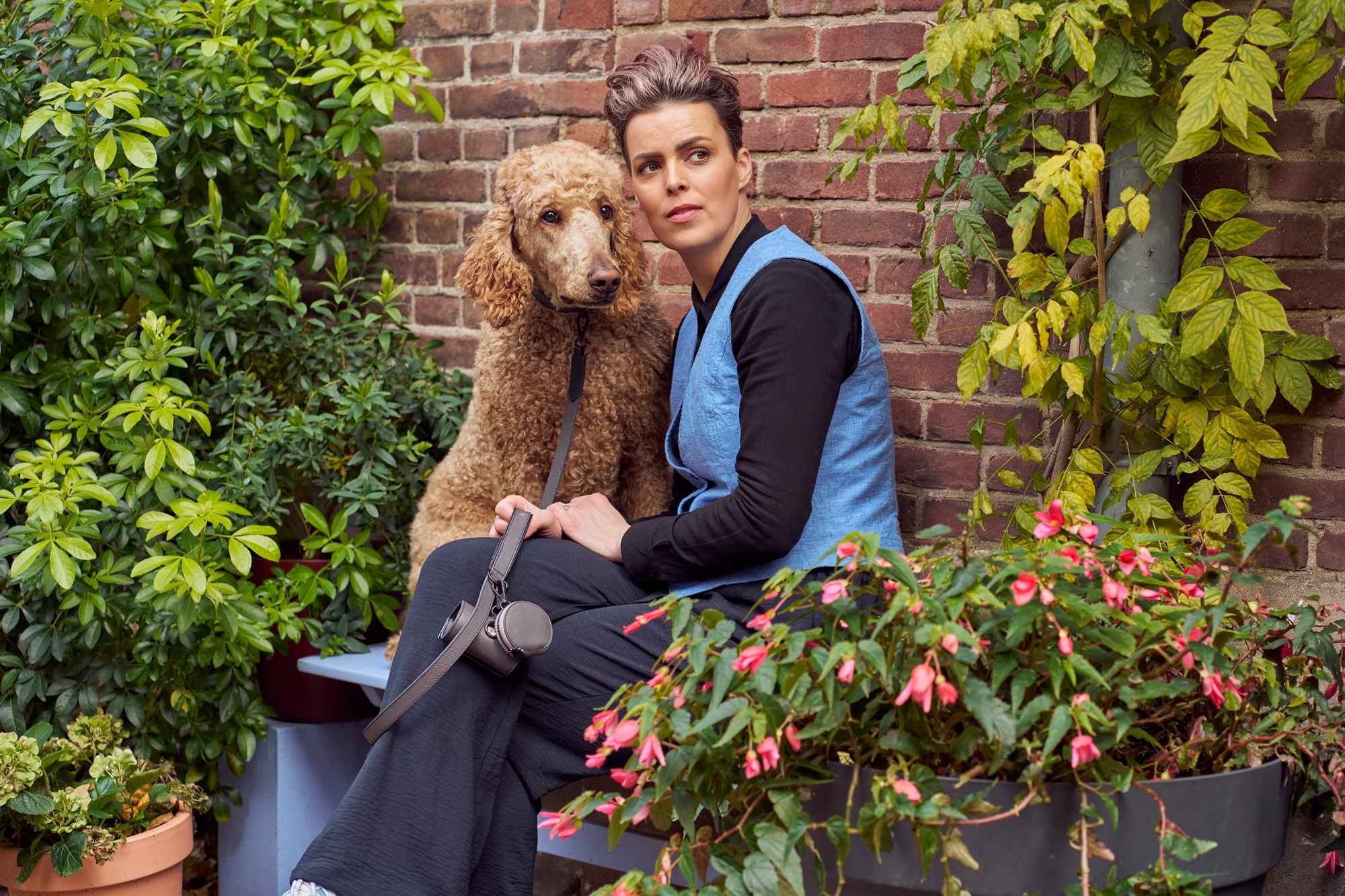 Maison Canisya Homepage Accessoires de Promenade pour Chien