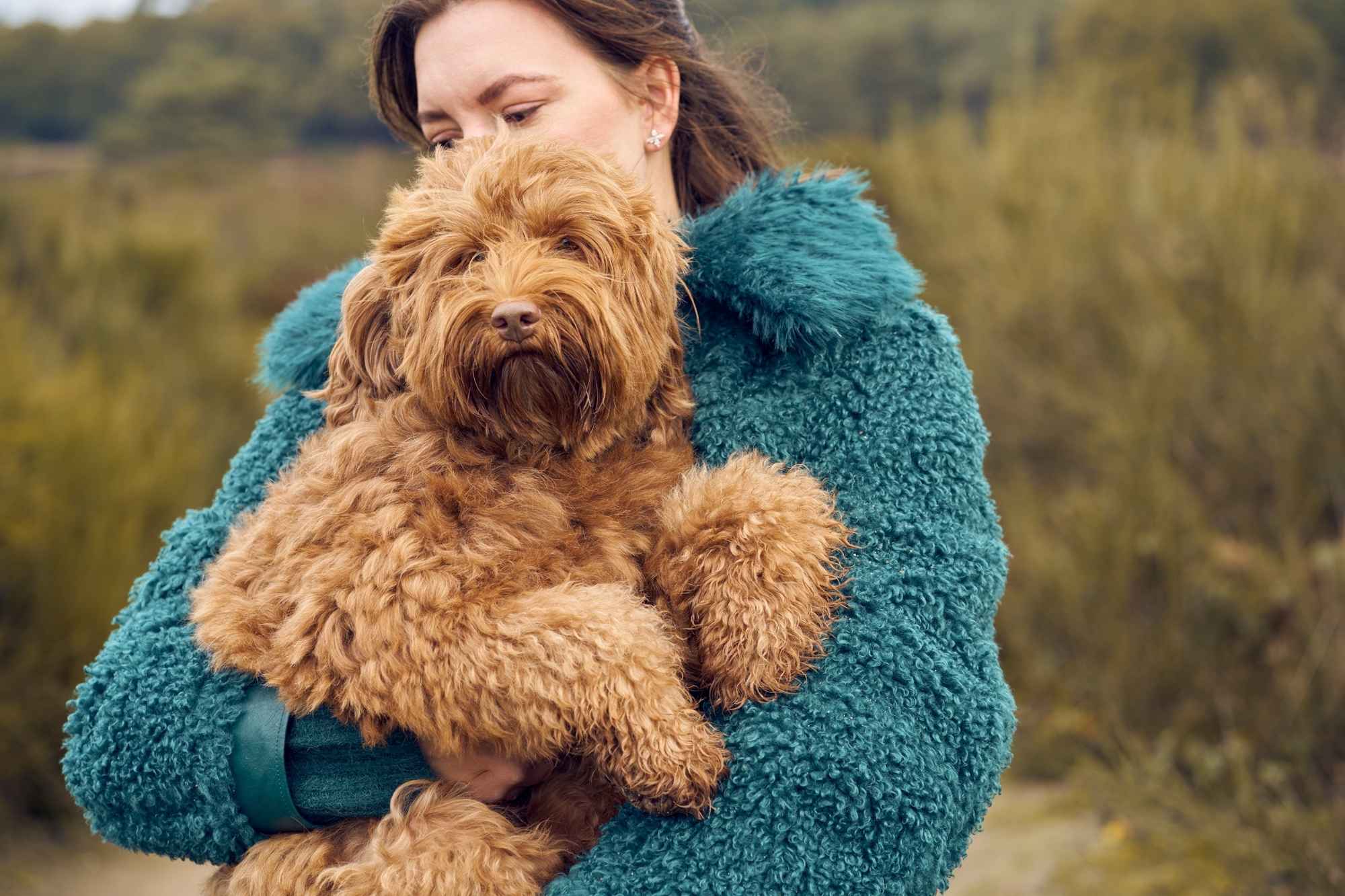 Maison Canisya Notre Histoire Accessoires de Promenade pour Chien