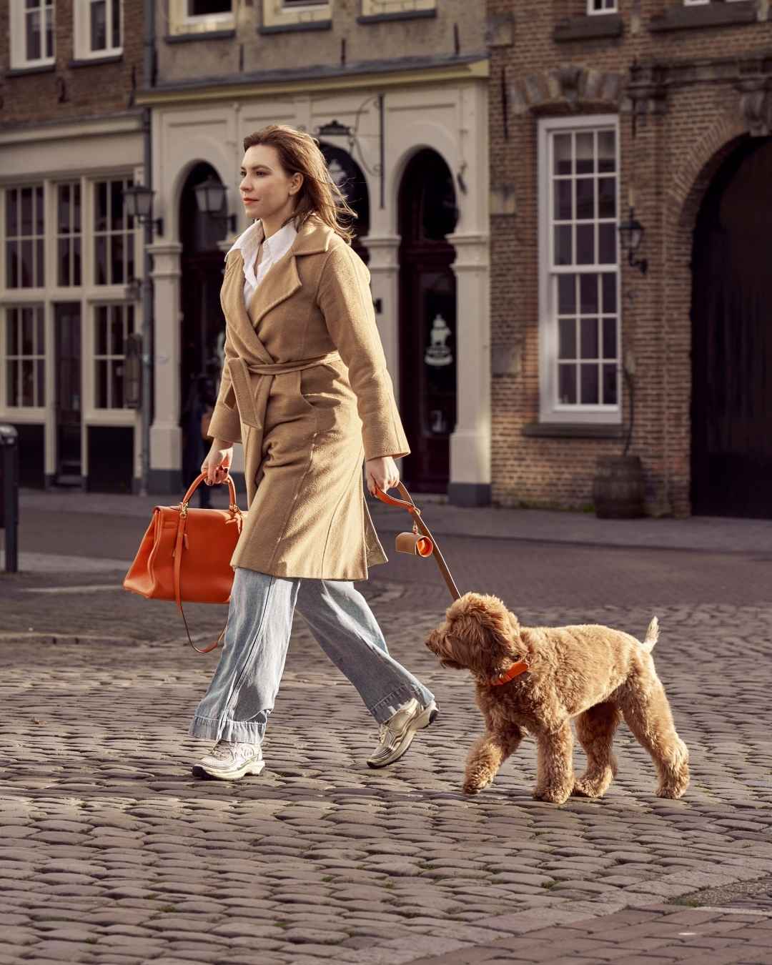 Maison Canisya Notre Histoire Accessoires pour Chien Promenade