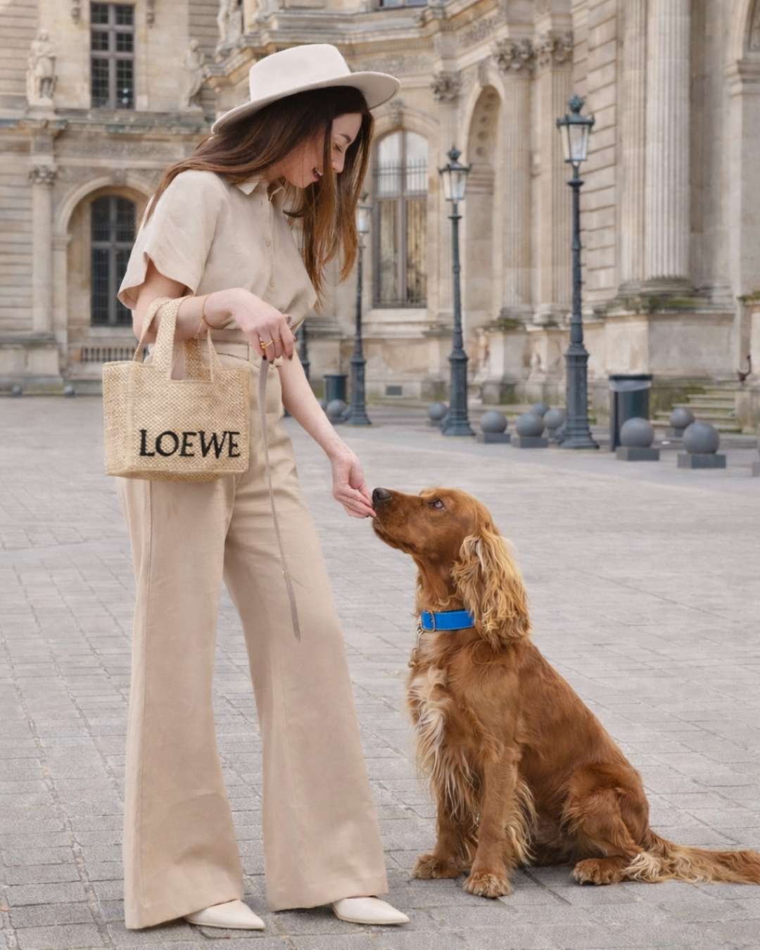 Maison Canisya Notre Histoire Collier en Cuir pour Chien