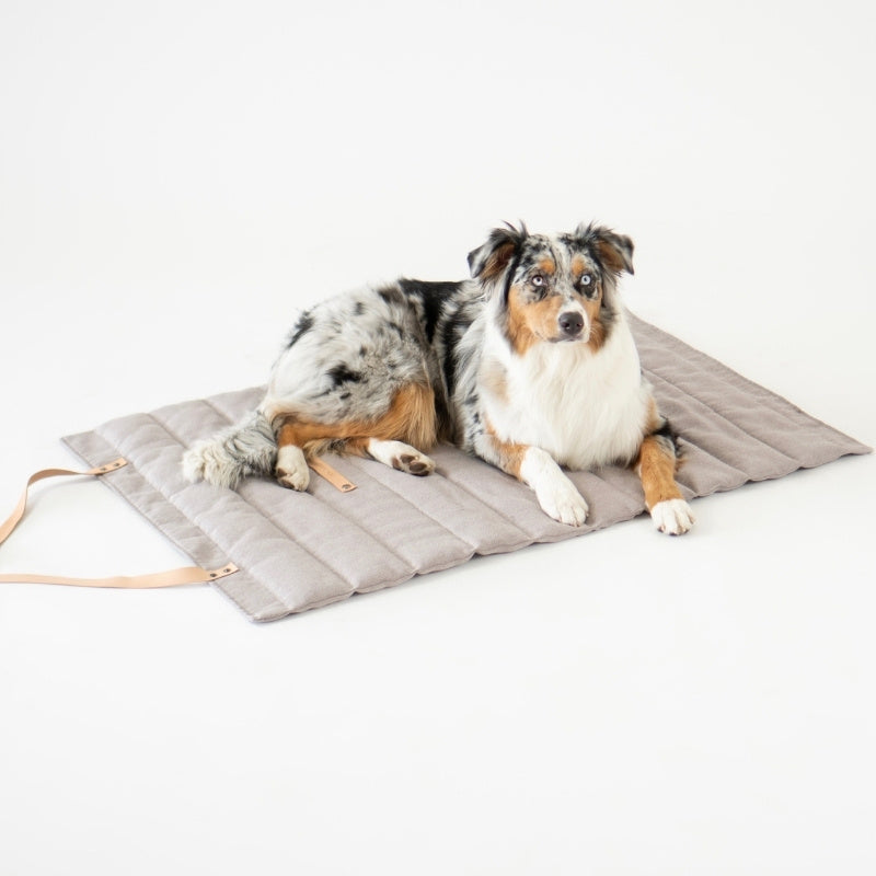FOSSER - Matelas de voyage pour chien