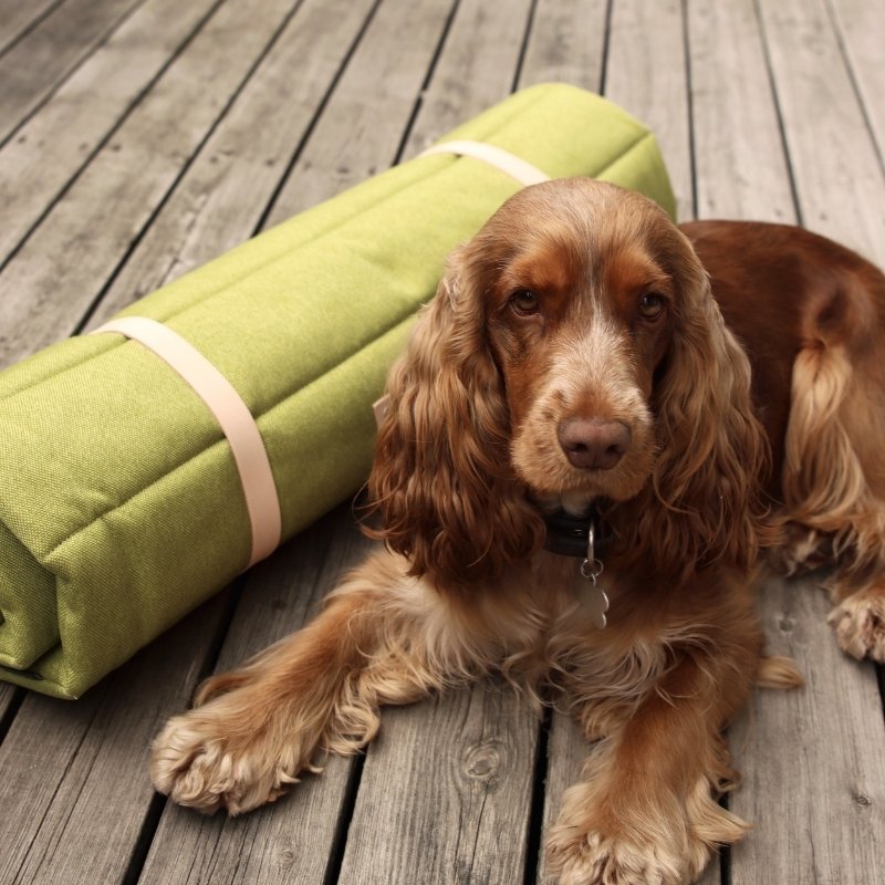 FOSSER - Matelas de voyage pour chien