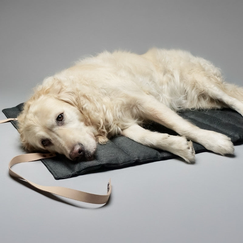 FOSSER - Matelas de voyage pour chien