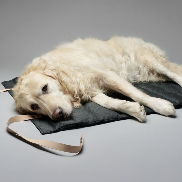FOSSER - Matelas de voyage pour chien