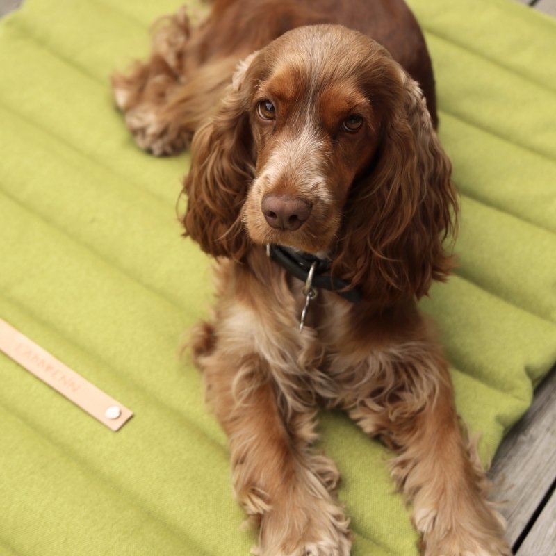 FOSSER - Matelas de voyage pour chien