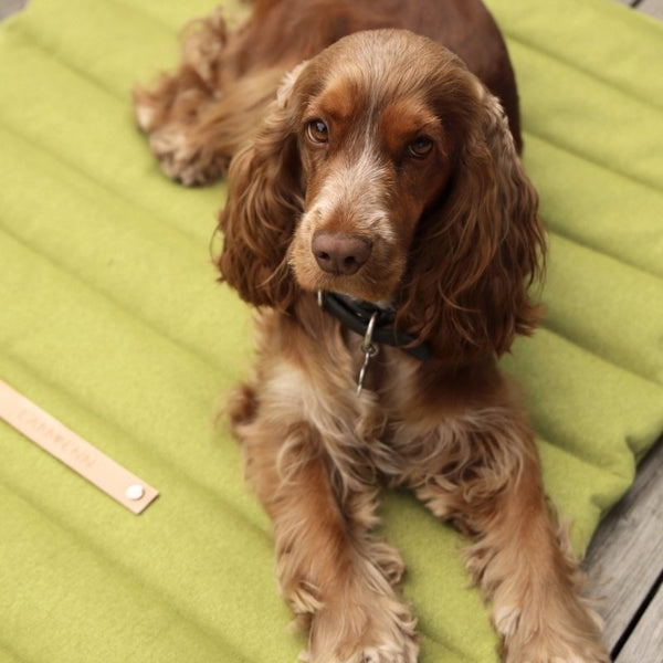 FOSSER - Matelas de voyage pour chien