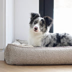 Panier Confortable pour Chien Intérieur