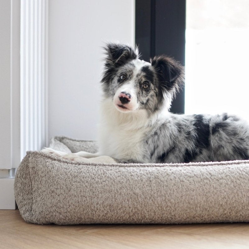 BUKLAA - Panier confortable pour chien