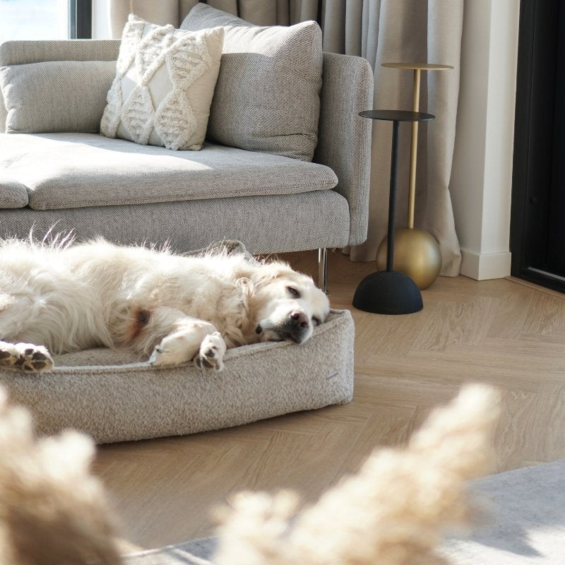 BUKLAA - Panier confortable pour chien