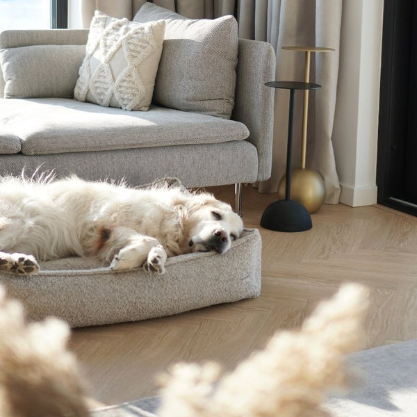 BUKLAA - Panier confortable pour chien