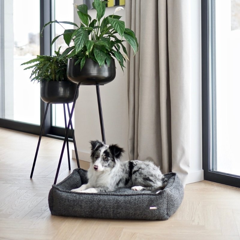 BUKLAA - Panier confortable pour chien