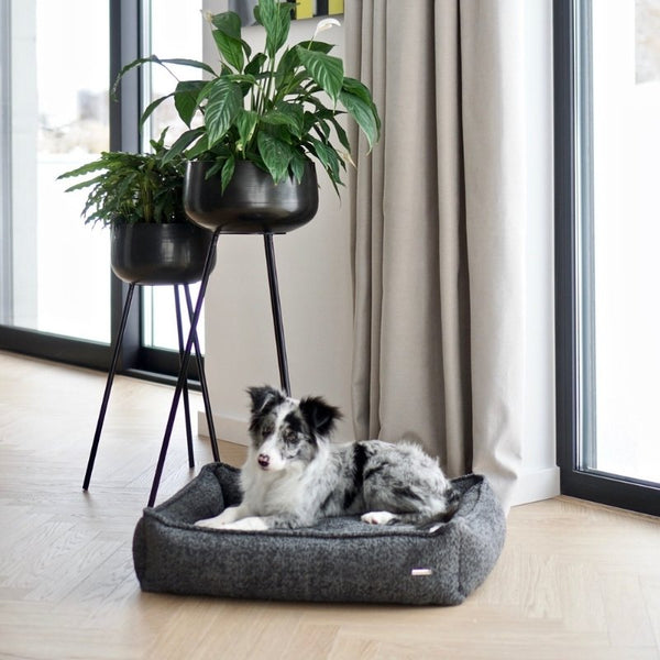 BUKLAA - Panier confortable pour chien