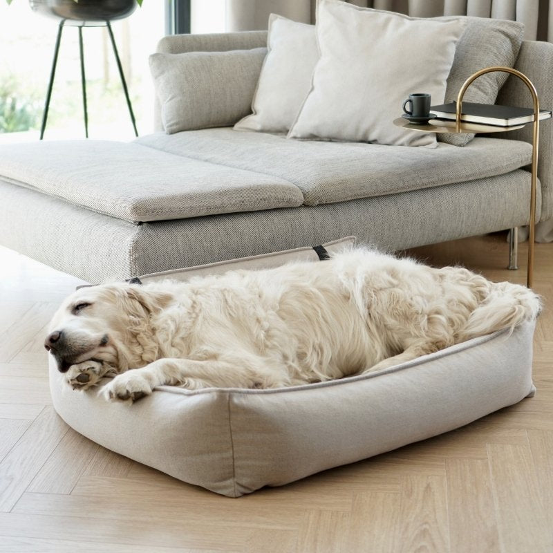 ORTEO - Panier orthopédique pour chien