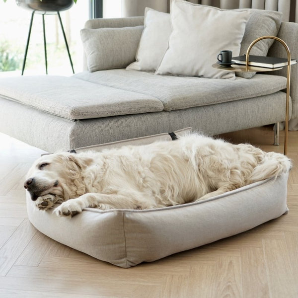 ORTEO - Panier orthopédique pour chien