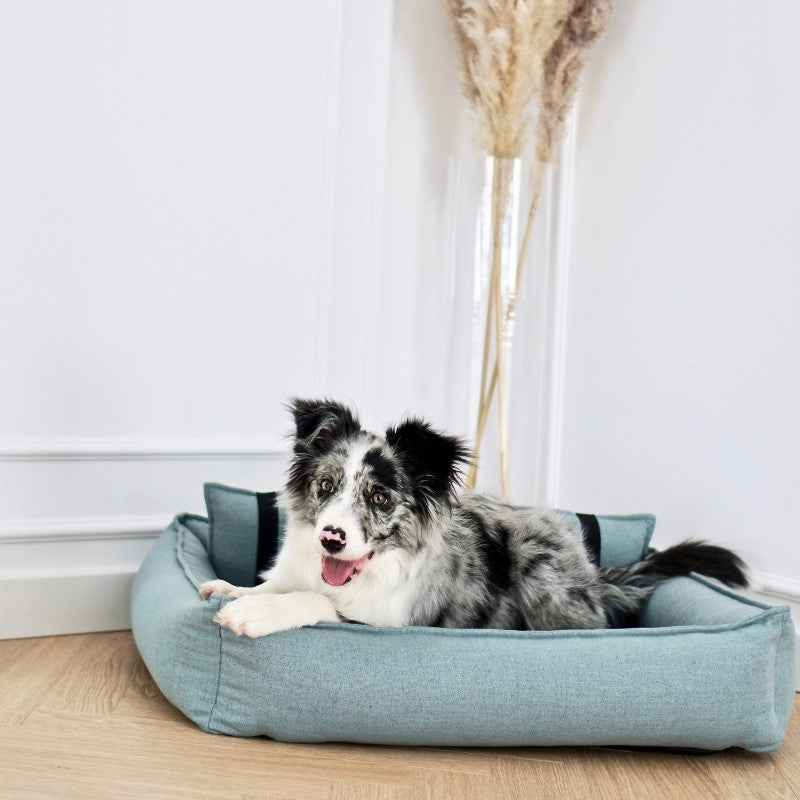 Panier Orthopédique pour Chien Couchage