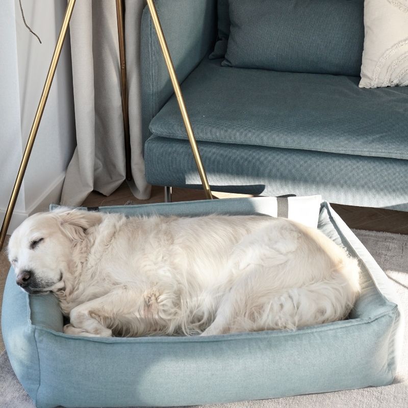 ORTEO - Panier orthopédique pour chien
