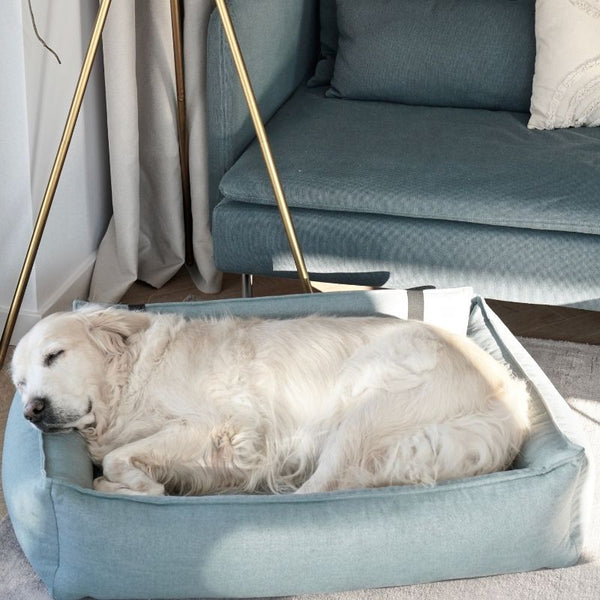 ORTEO - Panier orthopédique pour chien