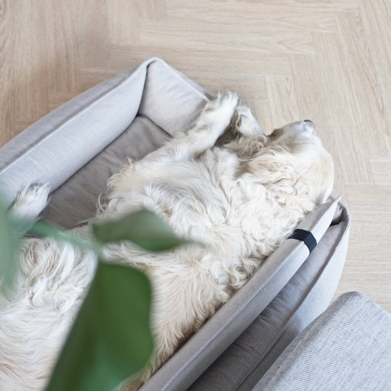ORTEO - Panier orthopédique pour chien