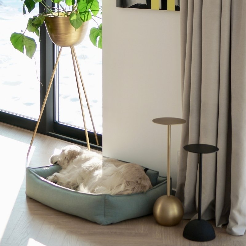 ORTEO - Panier orthopédique pour chien