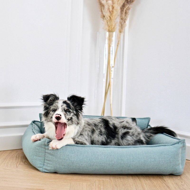 ORTEO - Panier orthopédique pour chien