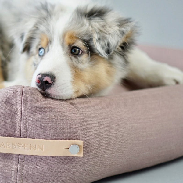 STOKKE - Panier pour chien grande taille