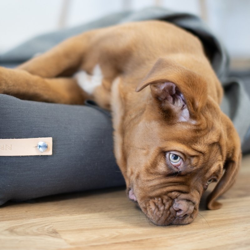 STOKKE - Large Dog Basket