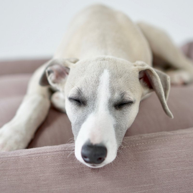 STOKKE - Large Dog Basket