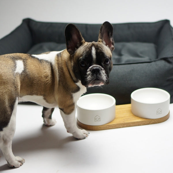 TÖVE - Panier pour chien haut de gamme