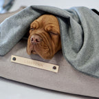 Panier pour Chien Haut de Gamme Couchage