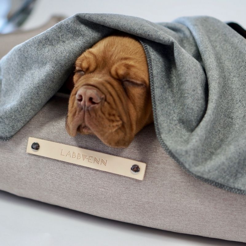 Panier pour Chien Haut de Gamme Couchage