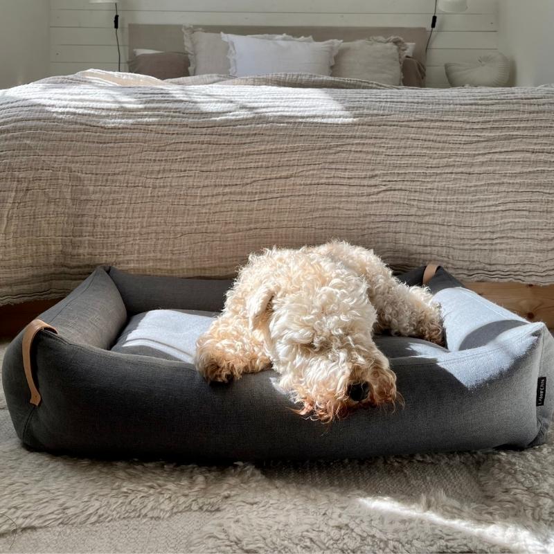 MOE - Panier pour chien moderne