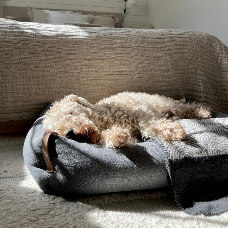 MOE - Panier pour chien moderne