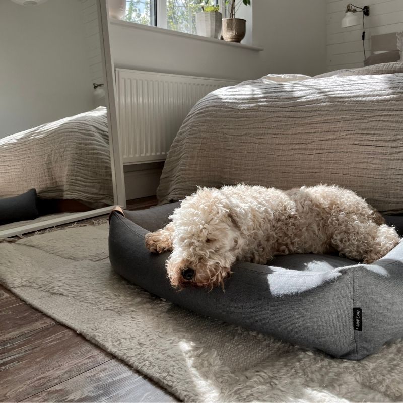 MOE - Panier pour chien moderne