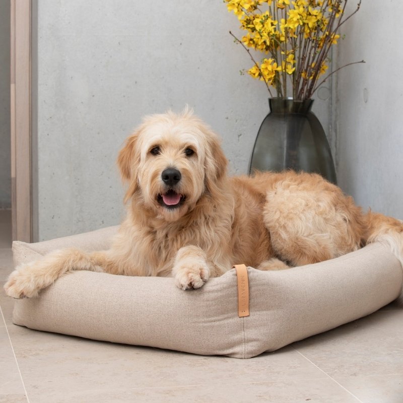 Panier pour Chien Moderne Design