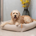 Panier pour Chien Moderne Design