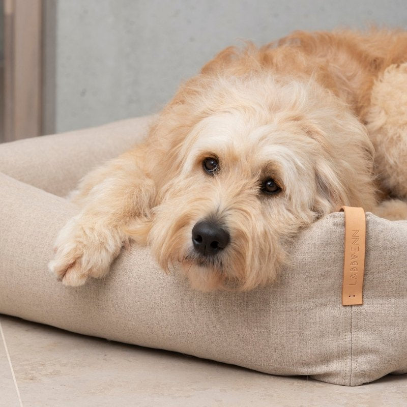 MOE - Panier pour chien moderne