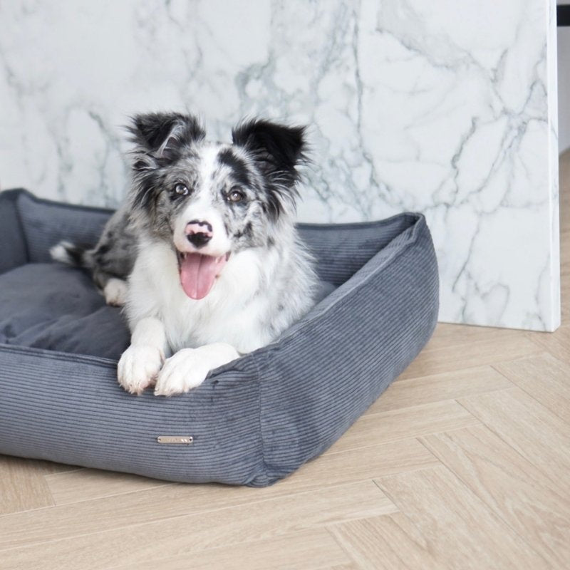 STRIPPO - Panier pour chien en velours côtelé