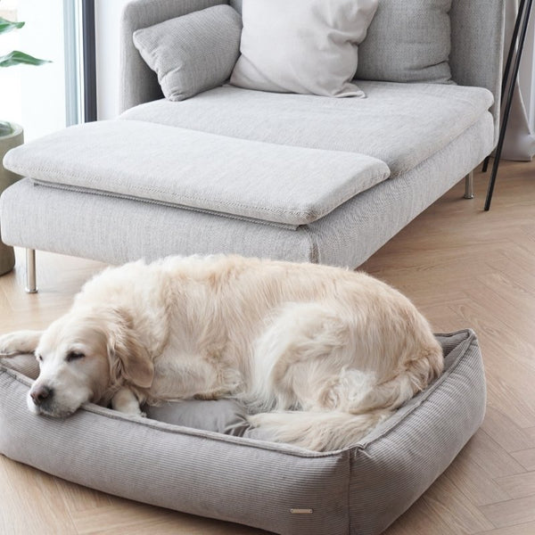 STRIPPO - Panier pour chien en velours côtelé