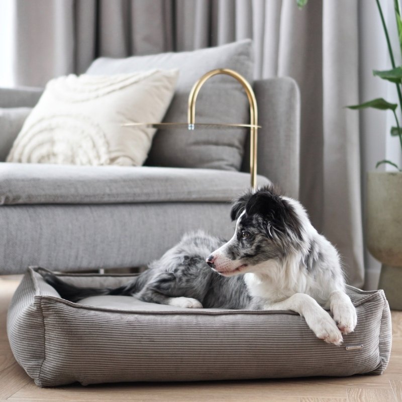 STRIPPO - Panier pour chien en velours côtelé