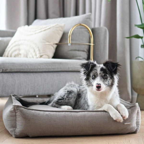 STRIPPO - Panier pour chien en velours côtelé