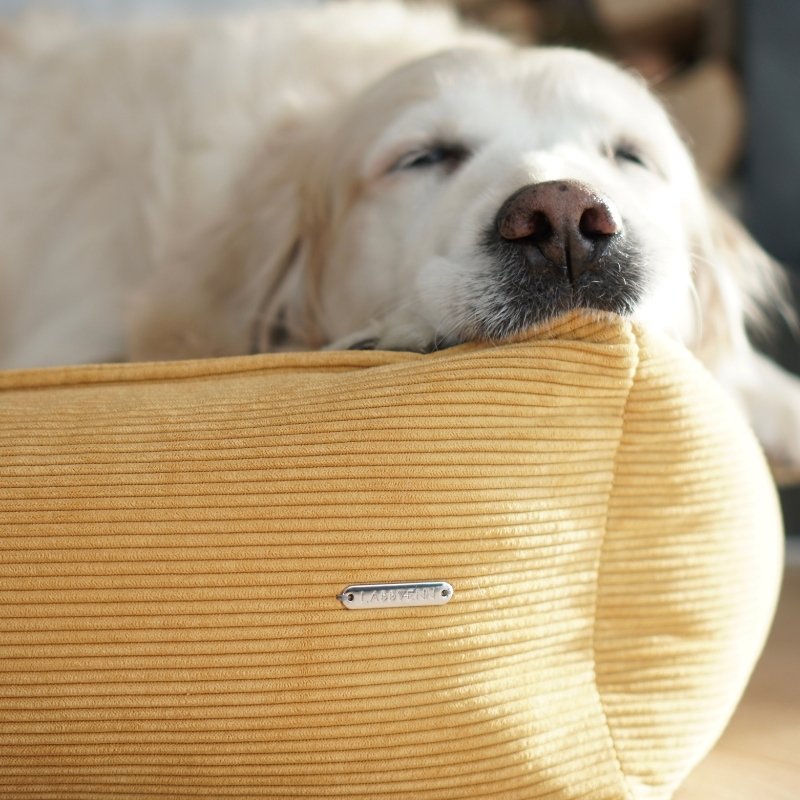 STRIPPO - Panier pour chien en velours côtelé