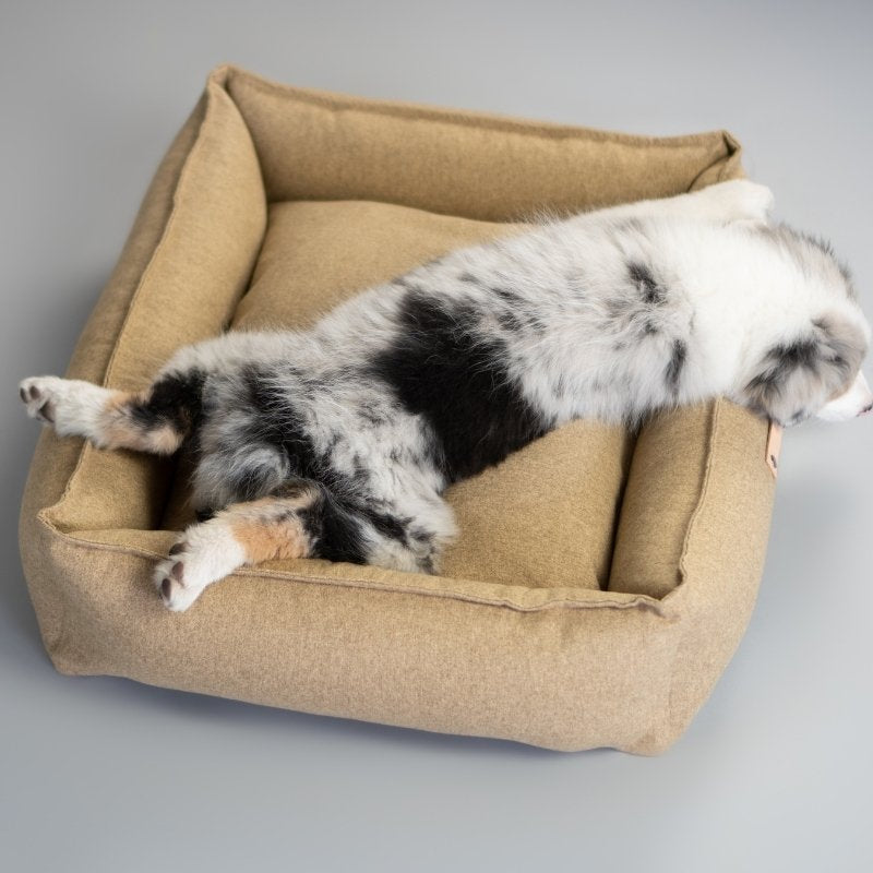 MØVIK - Panier pour grand chien