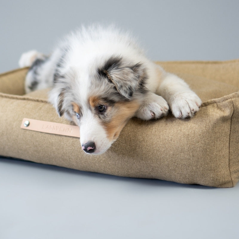 MØVIK - Panier pour grand chien