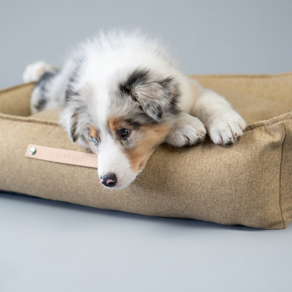 MØVIK - Panier pour grand chien