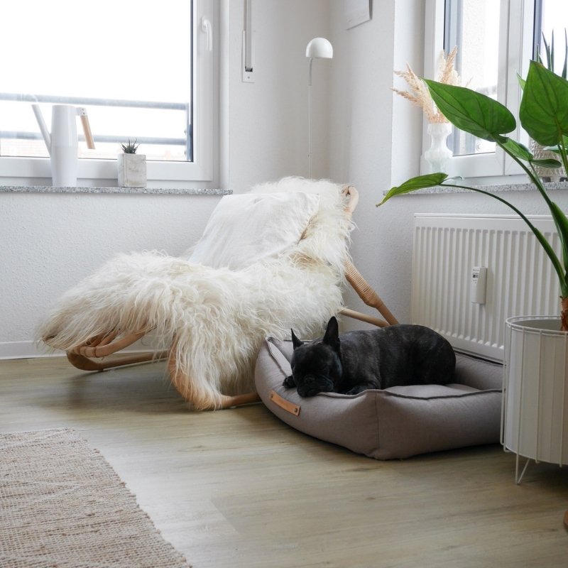 MØVIK - Panier pour grand chien