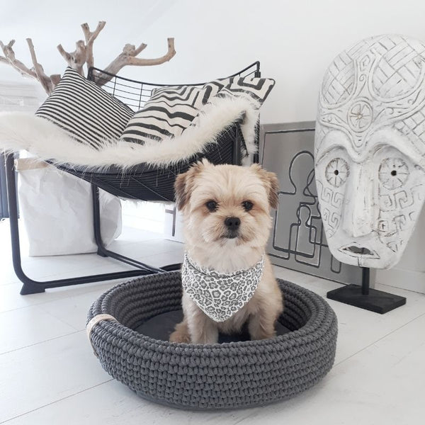 COCO - Panier pour petit chien