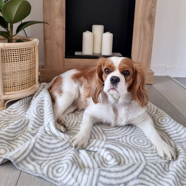 MANNO - Designer dog blanket