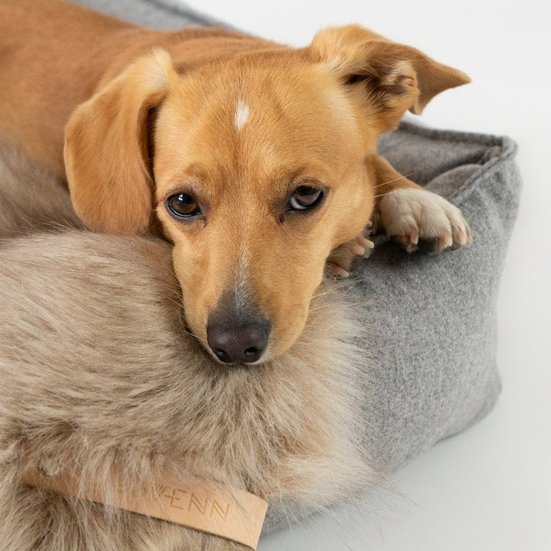 FÖRA - Plaid en fourrure pour chien