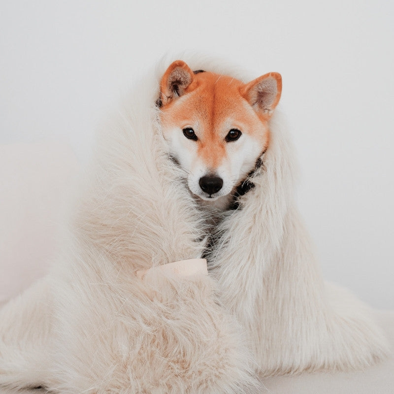 FÖRA - Plaid en fourrure pour chien