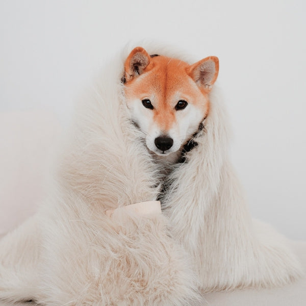 FÖRA - Plaid en fourrure pour chien